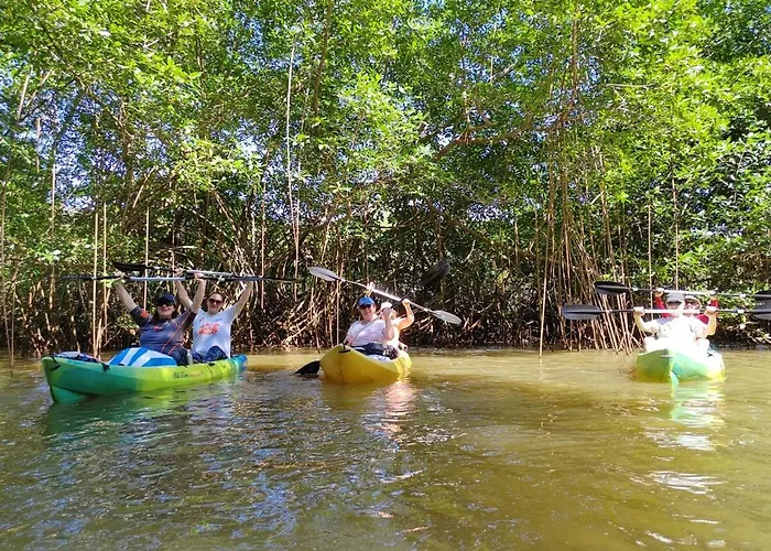 Сasa de vacaciones Casa Jurassic Amazing 10 Min Walk To The
